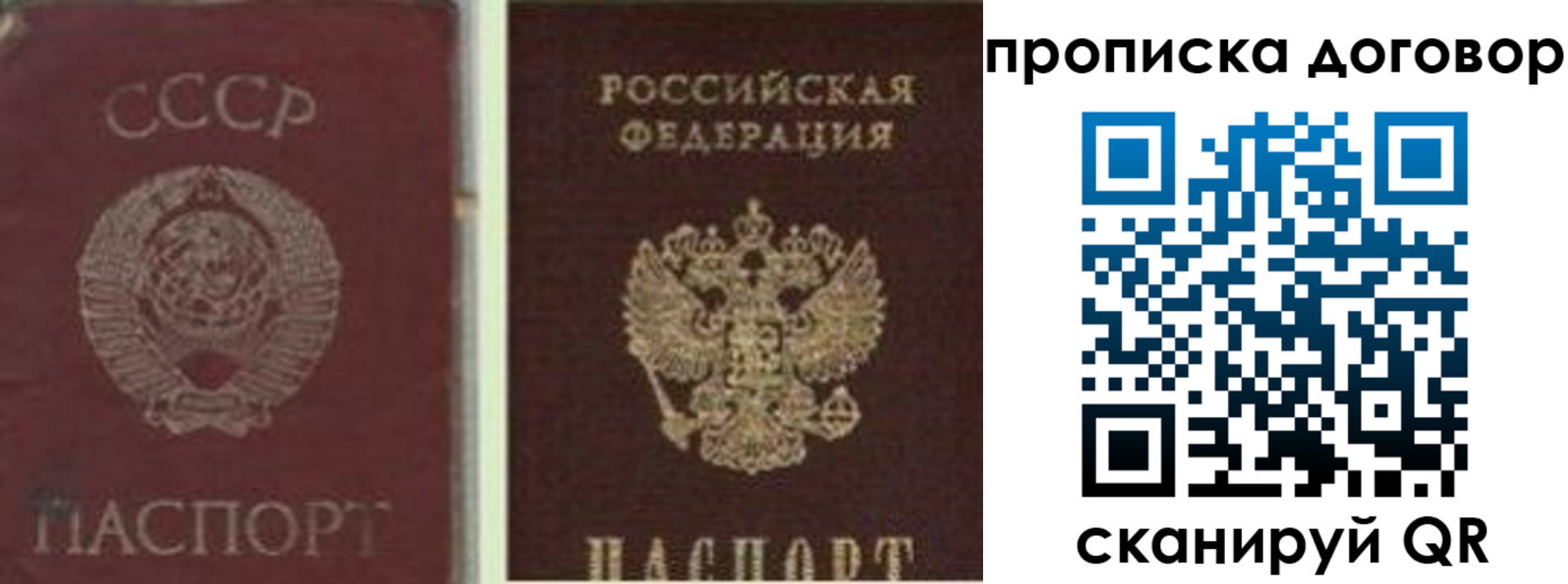 прописка гарантия в Шахтах